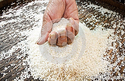 Rice in the hands of farmers Stock Photo