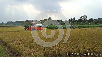 Rice harvesting machines on agricultural land Editorial Stock Photo