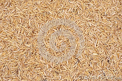 Rice Husk Stock Photo