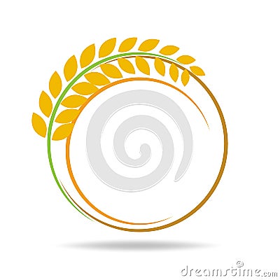 Rice organic Circle paddy grain products and healthy food design vector Vector Illustration