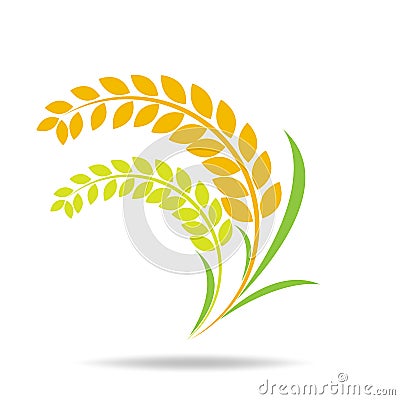 Rice organic Circle paddy grain products and healthy food design vector Vector Illustration