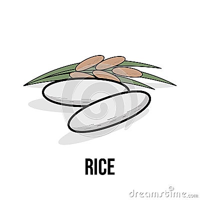 Rice organic product. Vector flat illustration. Natural healthy Eco food. White rice grains Vector Illustration