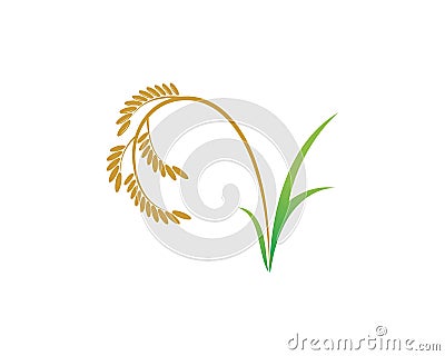 rice of organic vector icon illustration Vector Illustration