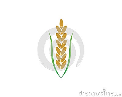 rice organic vector icon template Vector Illustration