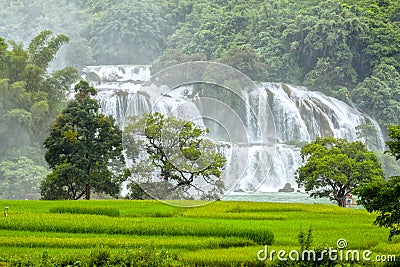 The rice paddies Ban Gioc waterfall Stock Photo