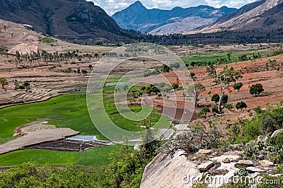 Rice paddies in the hills of Madagascar Stock Photo