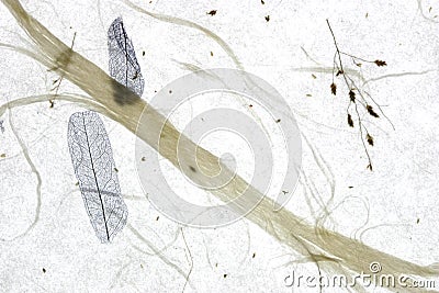 Rice Paper Background Stock Photo