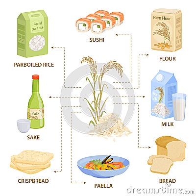 Rice Products Flat Infographics Vector Illustration