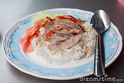 Rice with roast duck Stock Photo