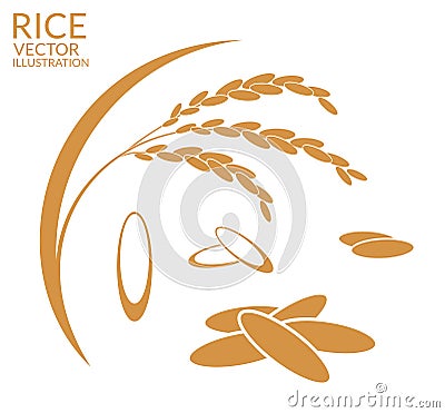 Rice. Set Vector Illustration