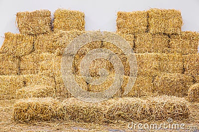 Rice straw bales Stock Photo