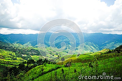 Rice terrace at Pid Thong Lang Phra royal project ,Nan Stock Photo