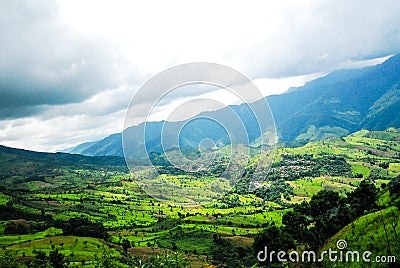 Rice terrace at Pid Thong Lang Phra royal project ,Nan Stock Photo