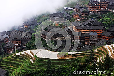 rice terraces Stock Photo