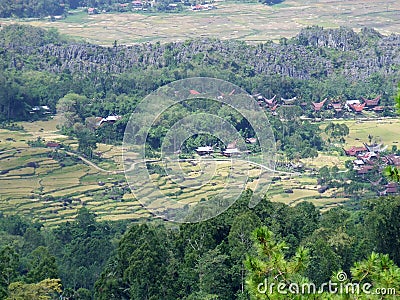 Rice terraces of Batutumonga Tana Toraja Stock Photo