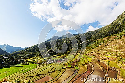 Rice terraces Stock Photo