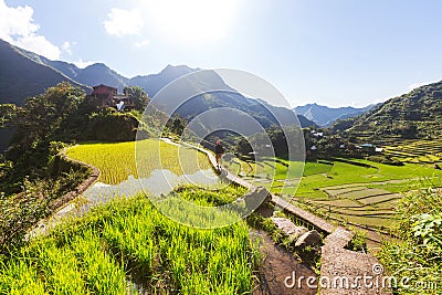 Rice terraces Stock Photo