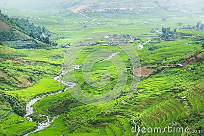 Rice terraces field in Rainning season Stock Photo