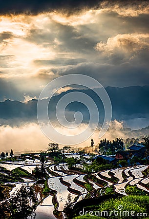 Rice terraces and fog Stock Photo