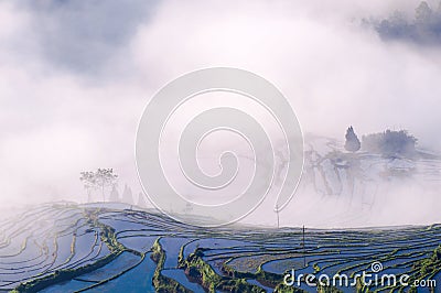 Rice terraces and fog Stock Photo