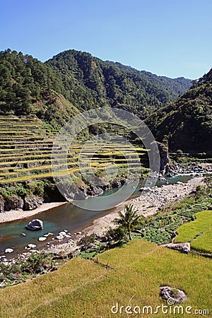 Rice terraces river valley north luzon philippines Stock Photo