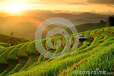 Rice Terraces with sunset backdrop at Ban Papongpieng Chiangmai Stock Photo