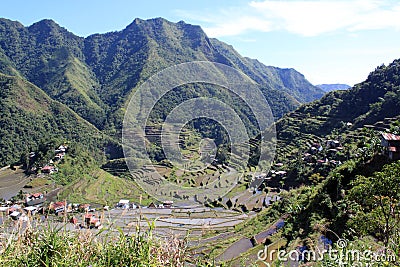 Rice terrases Stock Photo