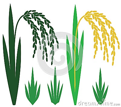 Rice Vector Illustration