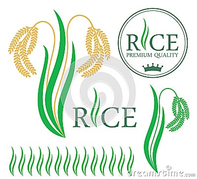 Rice Vector Illustration