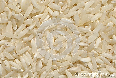 Rice Stock Photo