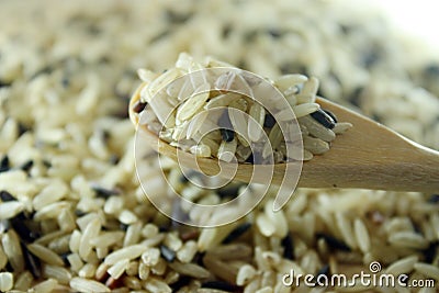 Riceberry Stock Photo