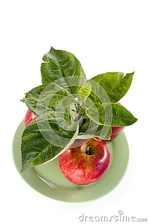 Rich apple crop Stock Photo