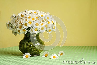 Rich daisy bouquet on the table Stock Photo