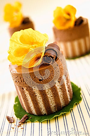 Rich Gourmet Chocolate Desserts Stock Photo