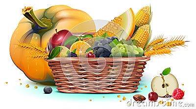 Rich harvest full wicker basket of fruit and vegetable. Thanksgiving Day heavy crop Vector Illustration