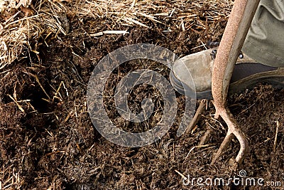 Rich organic mulch Stock Photo