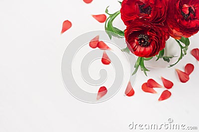 Rich red buttercup flowers in vase with petals top view on soft white wooden table. Elegance spring bouquet. Stock Photo