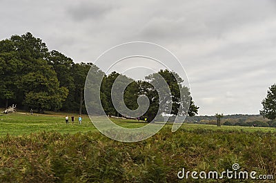 Richmond Park, Great Britan, October 14 2017 Editorial Stock Photo