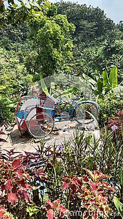 rickshawinthepark - rickshaw in the park - tricycle - rickshaw is parked - pedicab - tricycles in the sun in the heat of the day Stock Photo