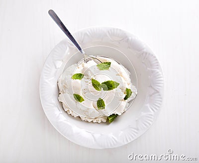 Ricotta Cheese with Fresh Mint Stock Photo