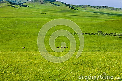 Ride on the broad grassland Stock Photo