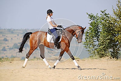 Rider on bay dressage horse, going trot Stock Photo