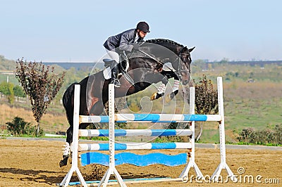 Rider on bay horse in jumping show Stock Photo
