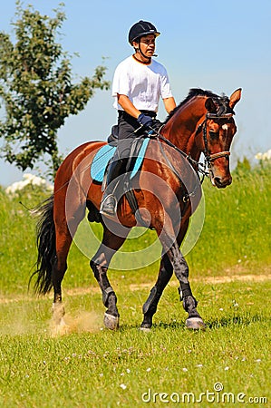Rider on bay sportive horse Stock Photo