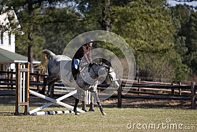 Rider and horse jumping hurdles Stock Photo