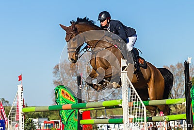 Rider Horse Jumping Editorial Stock Photo