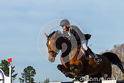 Rider Horse Jumping Editorial Stock Photo