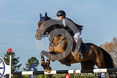 Rider Woman Horse Jumping Editorial Stock Photo