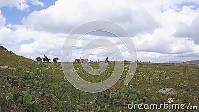 Riders on horseback. Clip. Summer pastures in an intermontane valley. People on horseback in green meadow Editorial Stock Photo