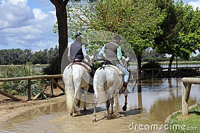 Riders on horseback on a dirt road, facing the pedestrian promenade overlooking the Marsh of El RocÃ­o, Spain`s national park Editorial Stock Photo